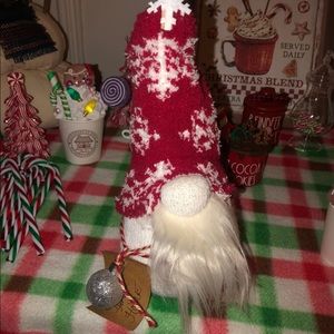 Adorable handmade gnome